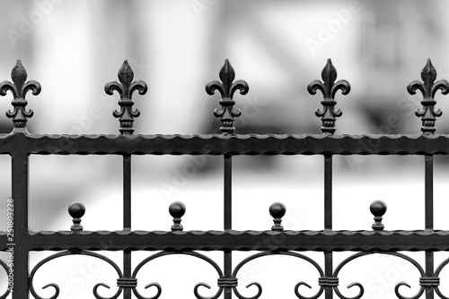 Metal wrought iron fence