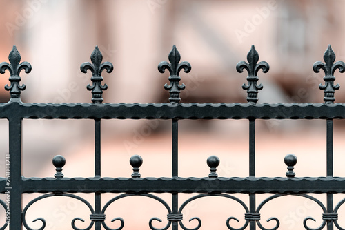 Metal wrought iron fence