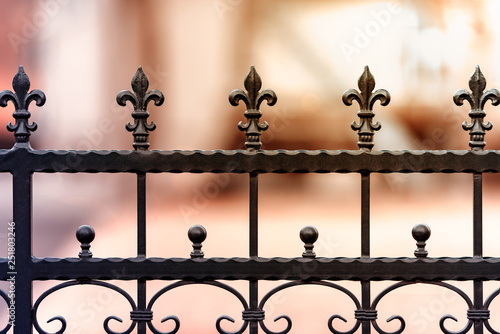 Metal wrought iron fence