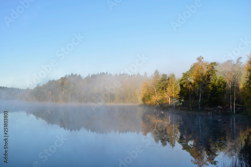 Fog lake firs autumn