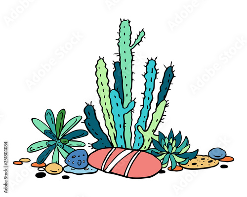 Cactus and succulents composition. Vector hand drawn outline color sketch illustration