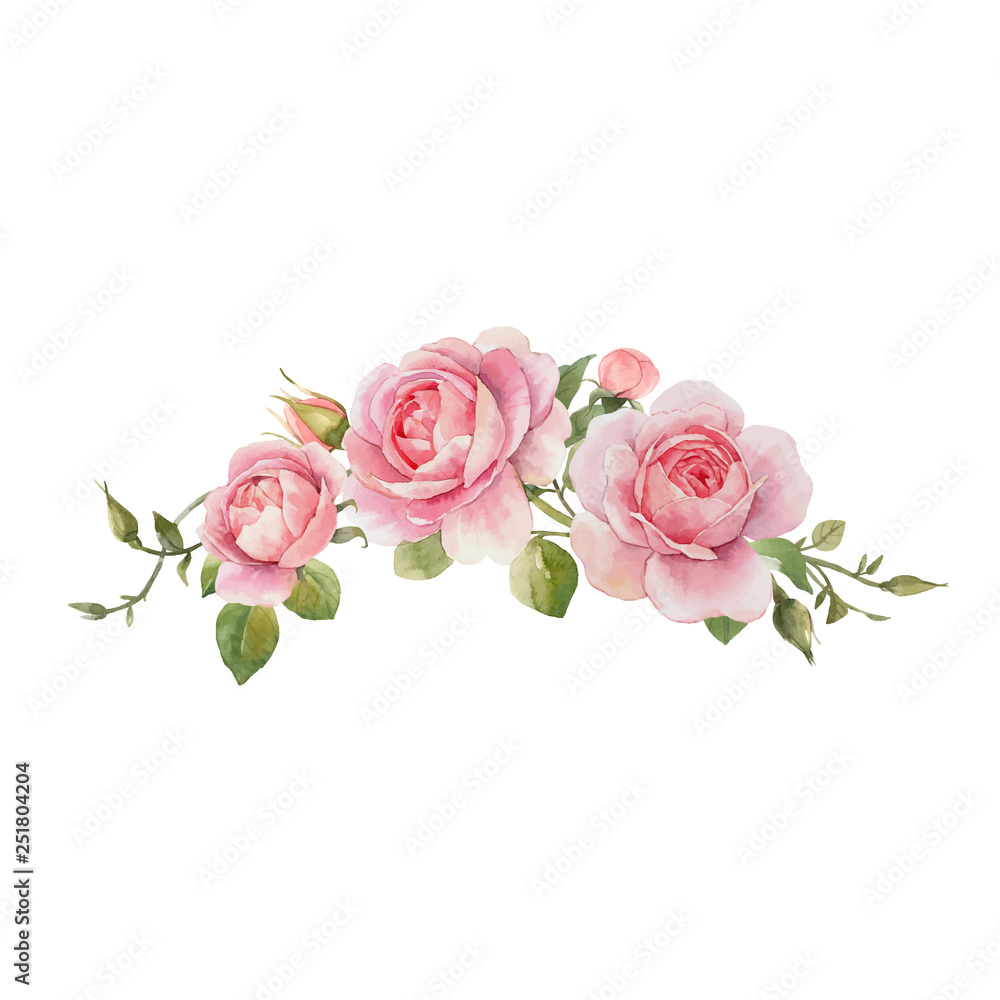 Watercolor rose vector omposition Stock Vector | Adobe Stock