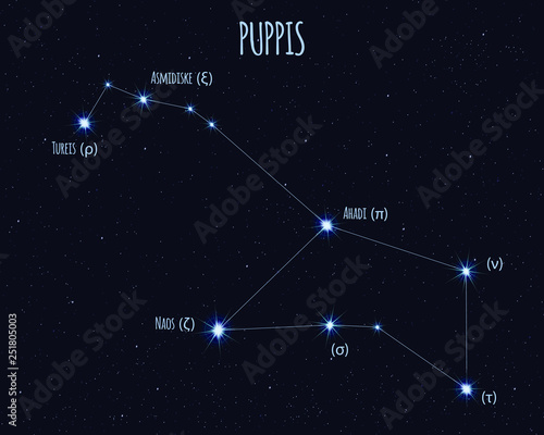 Puppis (The Poop Deck) constellation, vector illustration with the names of basic stars against the starry sky