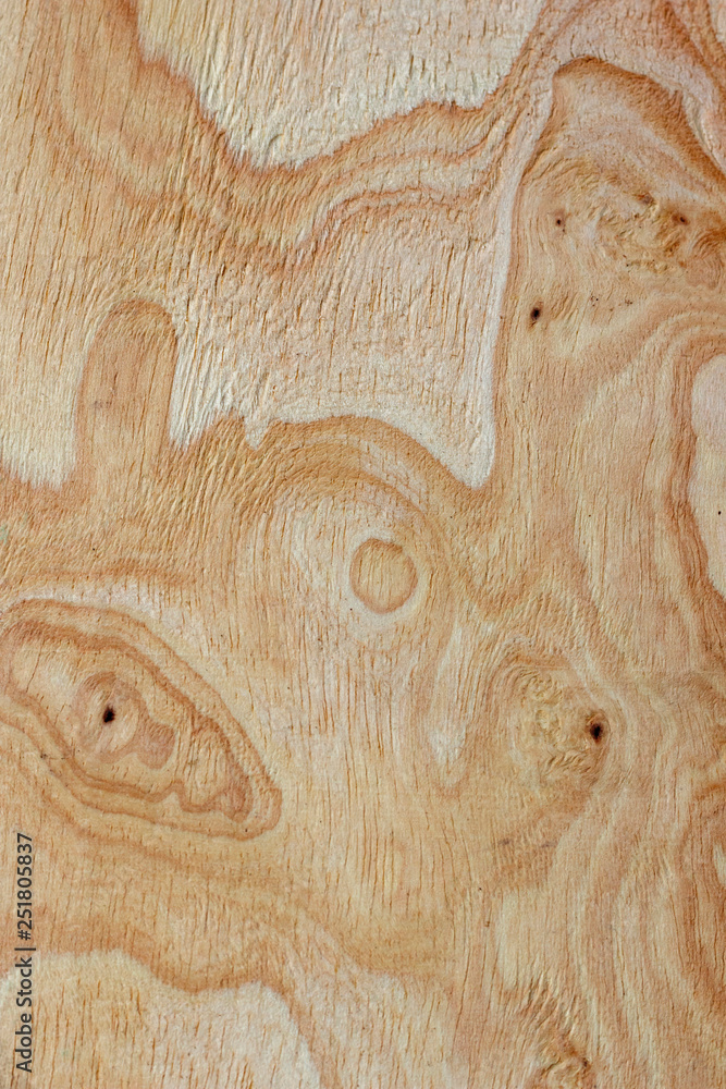 Abstract light wood panel texture background Abstract light wood panel texture background
