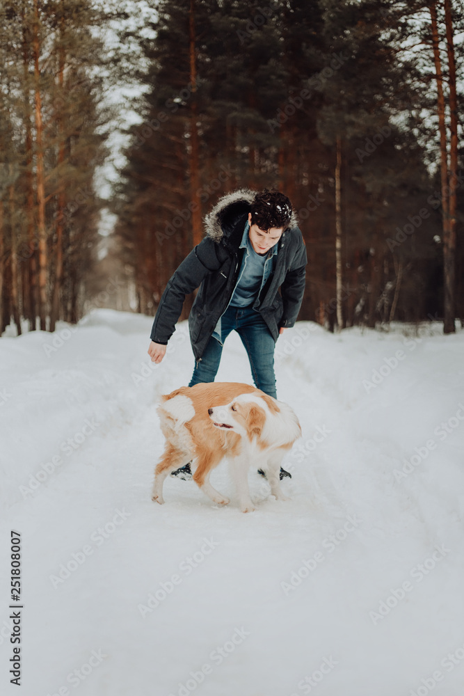 a cheerful guy in a denim jacket in a warm jacket walks a red dog border collie in the winter snow forest. the concept of journey and travel. playing with dog a cheerful guy in a denim jacket in a warm jacket walks a red dog border collie in the winter snow forest. the concept of journey and travel. playing with dog