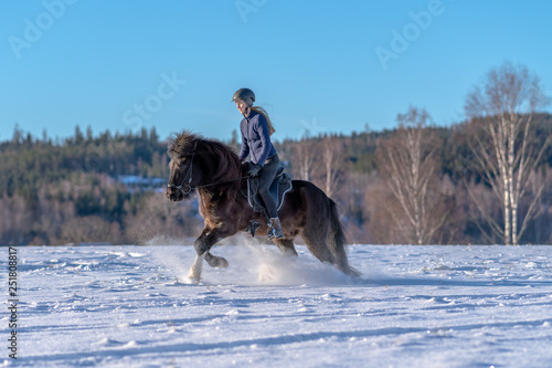 Young woman riding her Icelandic horse in deep snow and sunlight