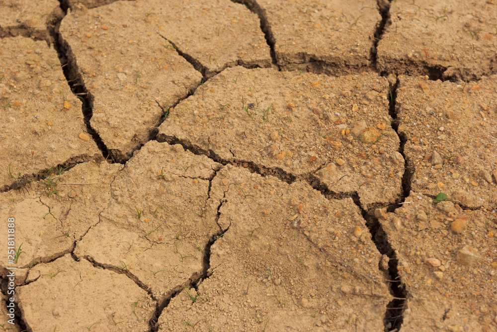 Fototapeta premium 亀裂