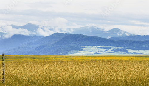 Beautiful landscape with mountains and magnificent cloudy sky in Armenia