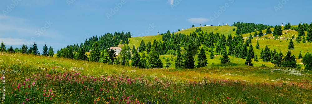 Panorama from the top of Hills. Wallpaper, landscape, panorama, screensaver. Panorama from the top of Hills. Wallpaper, landscape, panorama, screensaver.