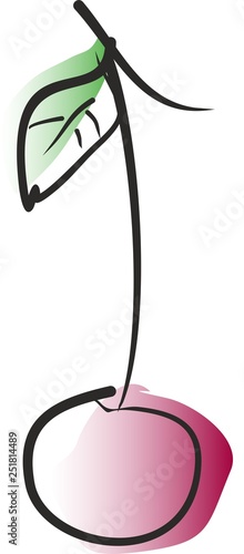vector illustration of cherry with leaf
