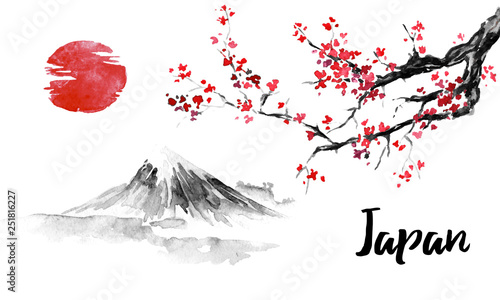 Japan traditional sumi-e painting. Sakura, cherry blossom. Fuji mountain. Indian ink illustration. Japanese picture. photo