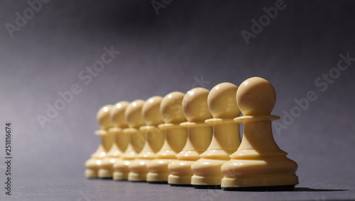 chess figure on the desk