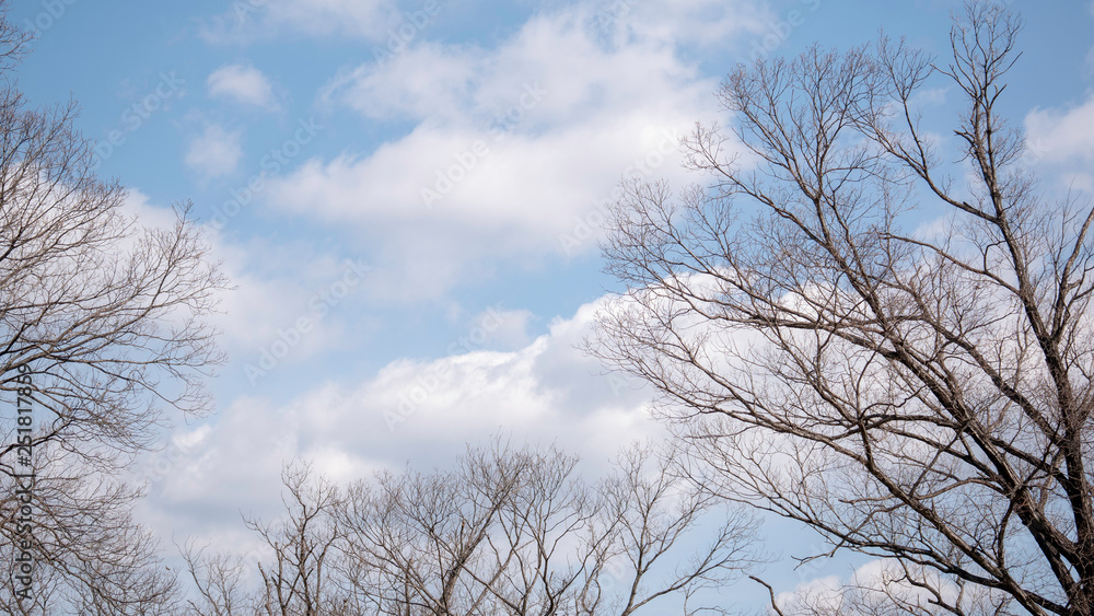 空と雲 空と雲
