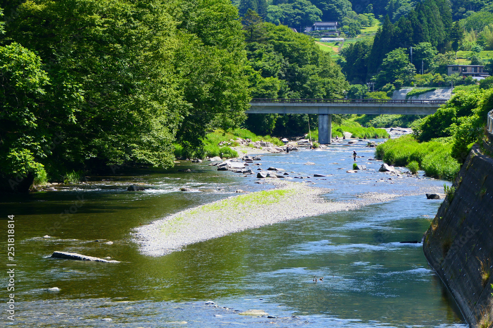 Fototapeta premium Sezon Ayu. Rzeka Kesen latem. Rikuzentakata Iwate Japan. Wczesny lipiec.