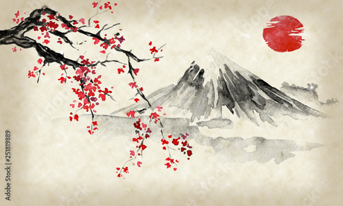 Japan traditional sumi-e painting. Indian ink illustration. Japanese picture. Sakura, sun and mountain