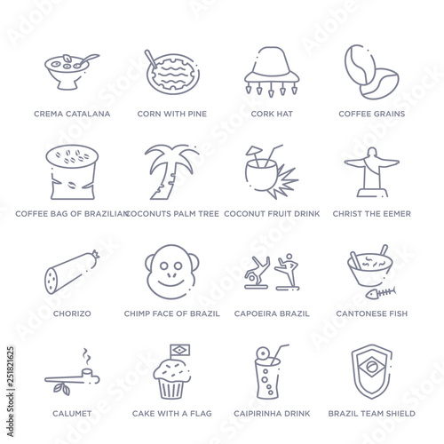 set of 16 thin linear icons such as brazil team shield, caipirinha drink glass of brazil, cake with a flag, calumet, cantonese fish, capoeira brazil dancers, chimp face of brazil from culture