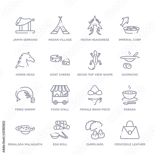 set of 16 thin linear icons such as crocodile leather bag, dumplings, egg roll, ensalada malague?a, fabada, female bikini piece, food stall from culture collection on white background, outline sign