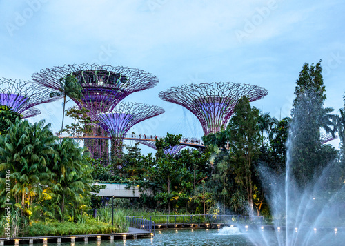 Supertrees in Gardens by the Bay at night