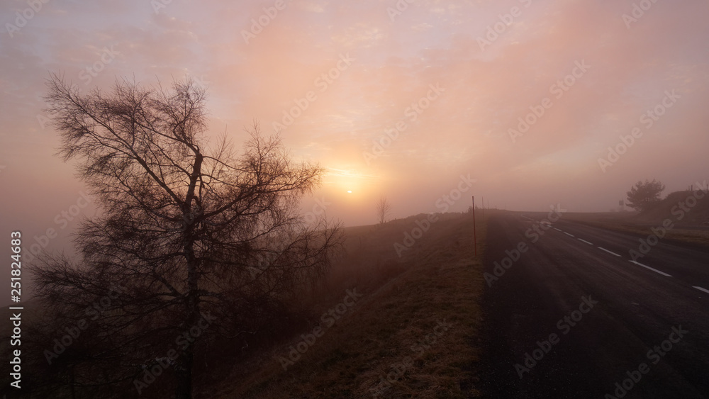 Fototapeta premium Aubrac