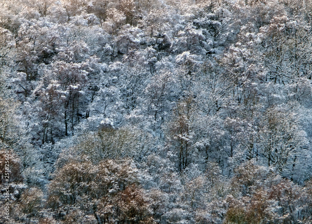 an aerial view of snow covered forest with hoarfrost covered trees in bright sunlight an aerial view of snow covered forest with hoarfrost covered trees in bright sunlight