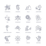 set of 16 thin linear icons such as daffodil, dahlia, daisy, dandelion, dianthus, eco socket, freesia from nature collection on white background, outline sign icons or symbols