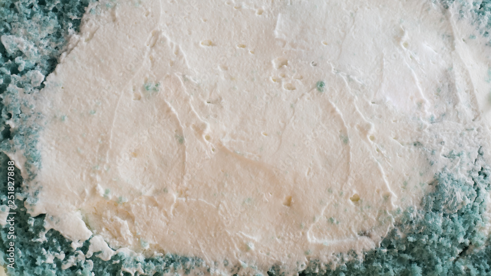 close up cream cake close up cream cake