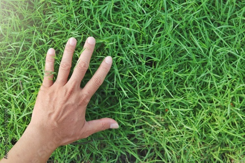 hands on green lush grass from top view