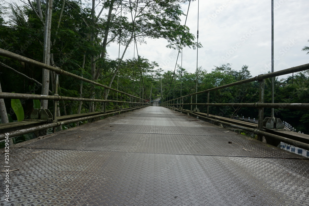 Obraz premium long steel bridge