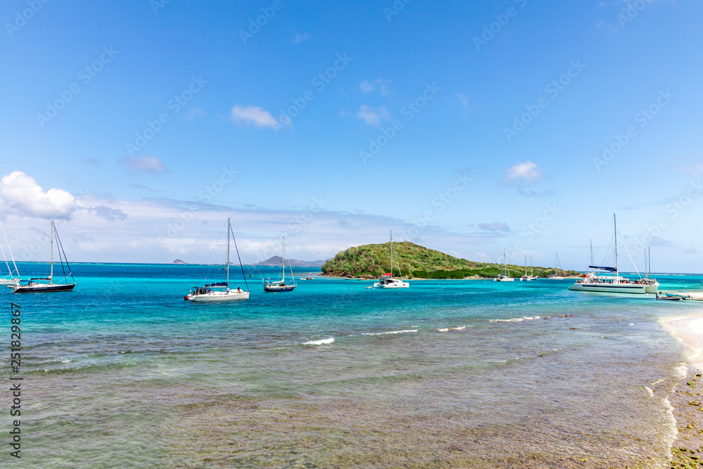 Obraz premium Saint Vincent and the Grenadines, Tobago Cays