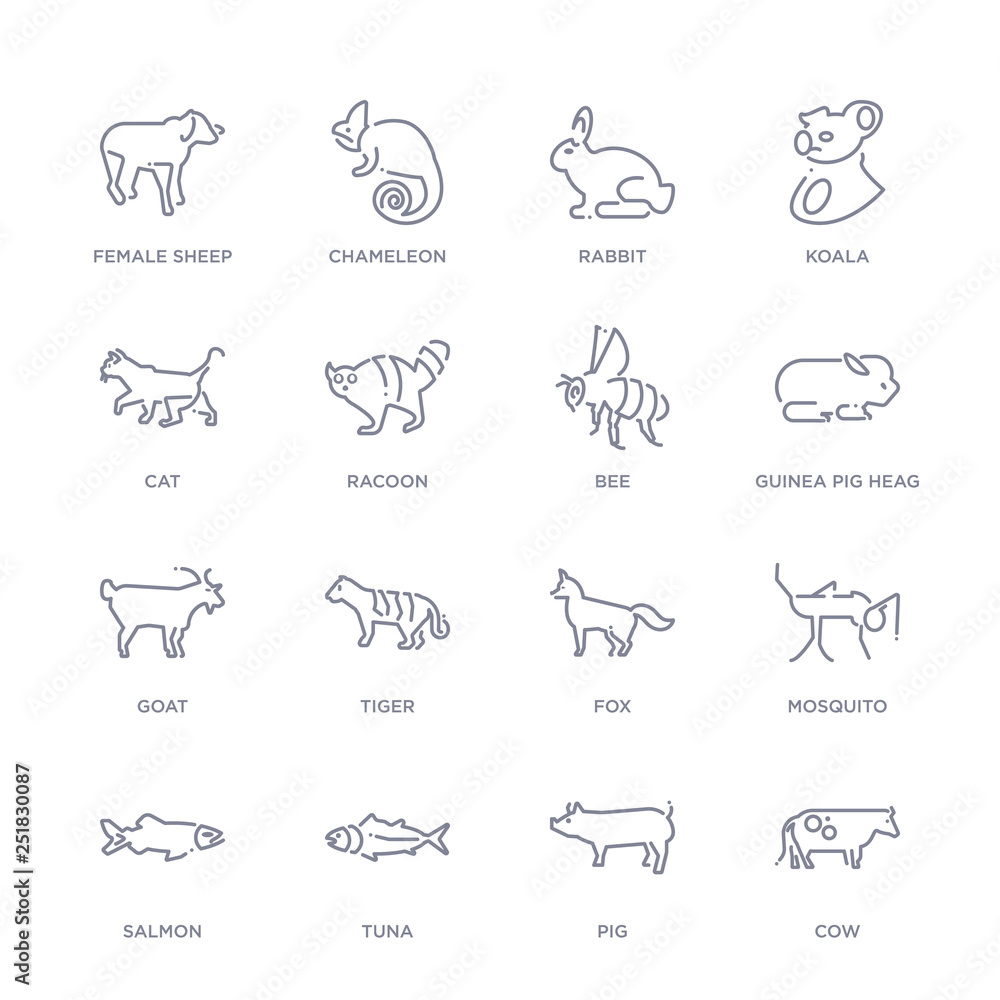 set of 16 thin linear icons such as cow, pig, tuna, salmon, mosquito, fox, tiger from animals collection on white background, outline sign icons or symbols set of 16 thin linear icons such as cow, pig, tuna, salmon, mosquito, fox, tiger from animals collection on white background, outline sign icons or symbols