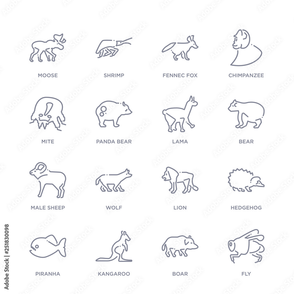 set of 16 thin linear icons such as fly, boar, kangaroo, piranha, hedgehog, lion, wolf from animals collection on white background, outline sign icons or symbols