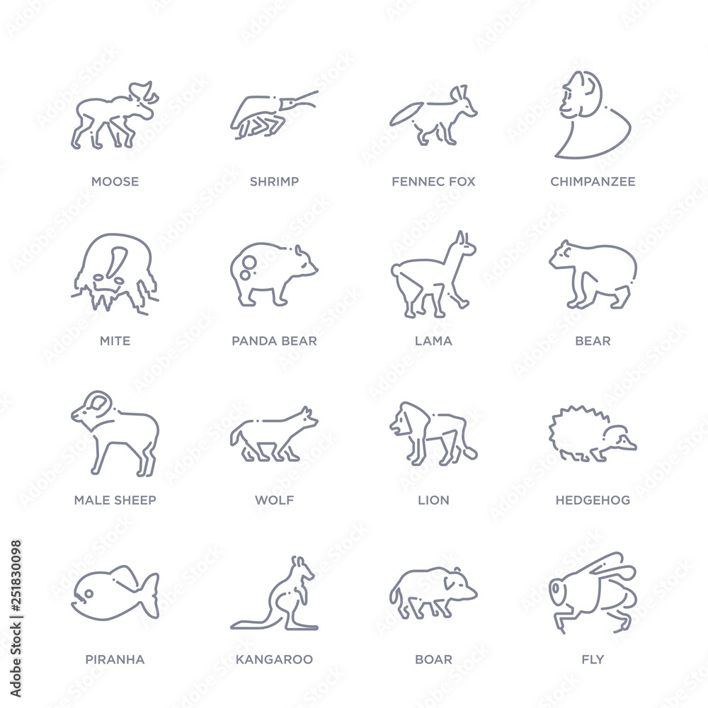 set of 16 thin linear icons such as fly, boar, kangaroo, piranha, hedgehog, lion, wolf from animals collection on white background, outline sign icons or symbols set of 16 thin linear icons such as fly, boar, kangaroo, piranha, hedgehog, lion, wolf from animals collection on white background, outline sign icons or symbols