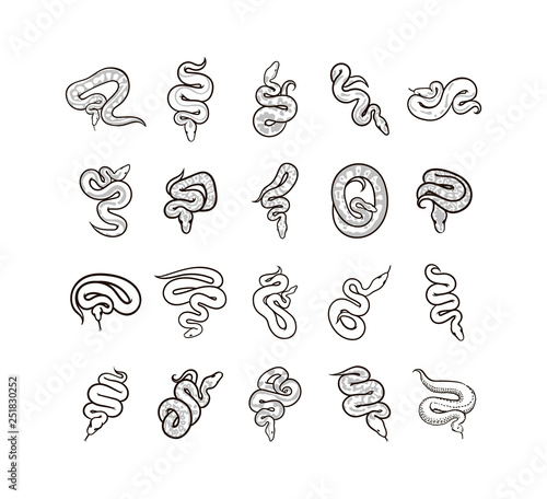 Vector hand drawn snake sign symbol illustration on white background