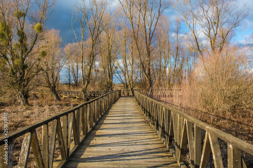 A wooden walkway in the Kopacki Rit Nature Reserve in winter in north east Croatia. Located by the Serbian border, close to the confluence of the Drava and Danube rivers, it is one of the largest and  © dragoncello