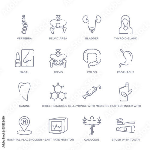 set of 16 thin linear icons such as brush with tooth paste, caduceus, heart rate monitor, hospital placeholder, hurted finger with bandage, syringe with medicine, three hexagons cell from medical