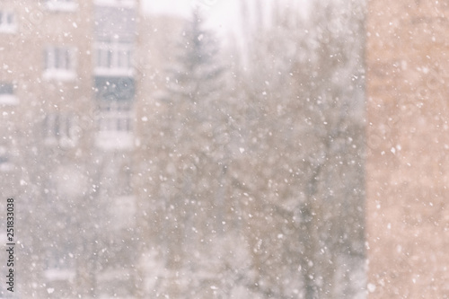 Falling snow on the background of trees and Windows. Winter background. Soft focus © pro2audio