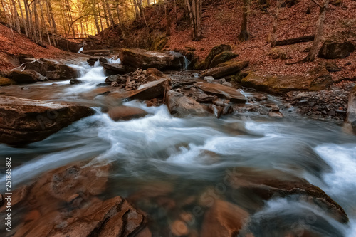 Forest stream in the Carpathian mountains. Ukraine.