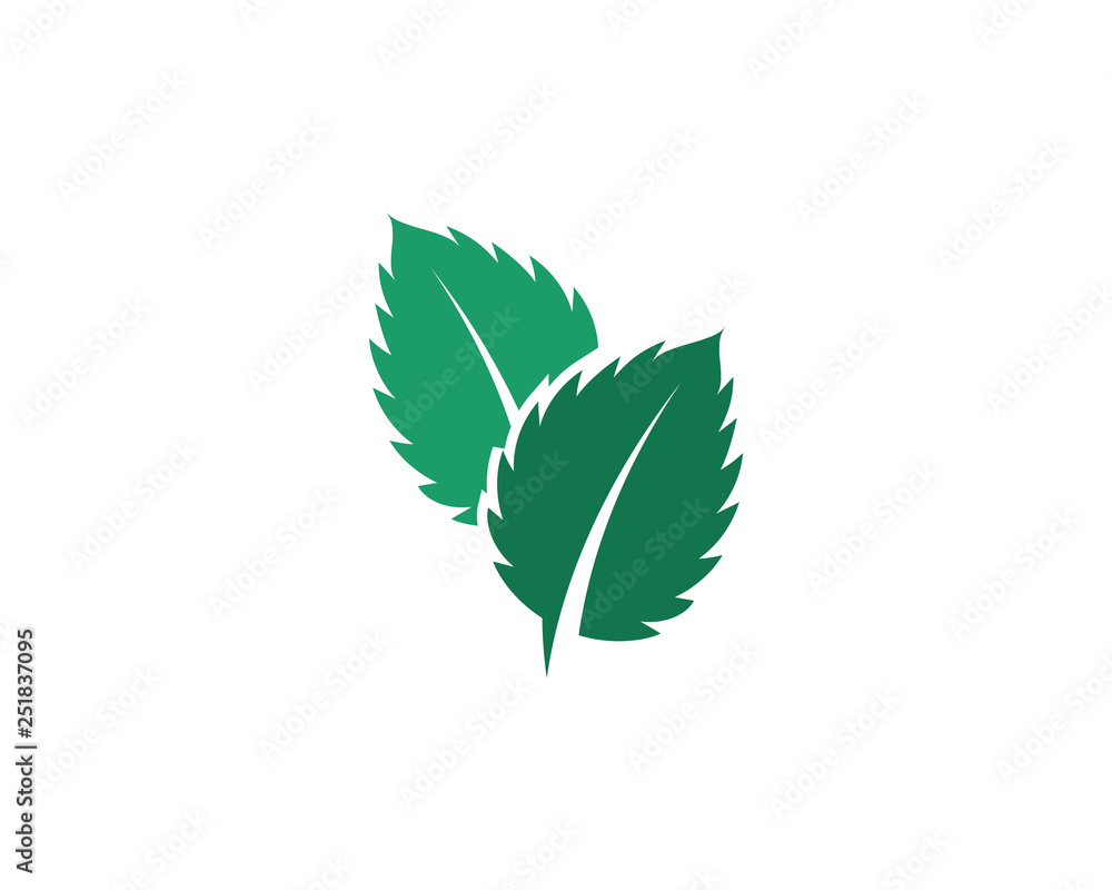 Mint leaves flat vector icon Stock Vector Adobe Stock