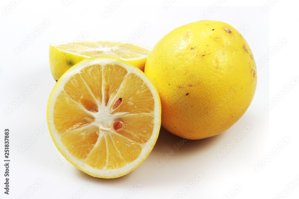 Close Up Lemon at white background