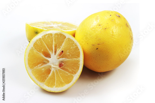Close Up Lemon at white background