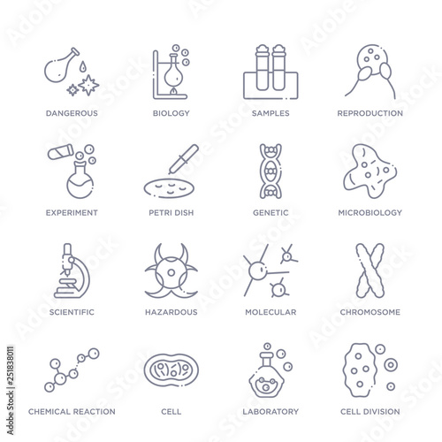 set of 16 thin linear icons such as cell division, laboratory, cell, chemical reaction, chromosome, molecular, hazardous from chemistry collection on white background, outline sign icons or symbols