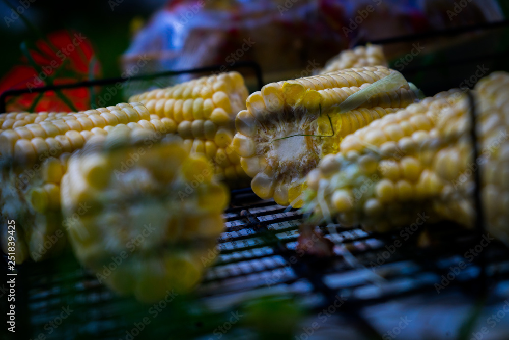 bbq barbecue on the grill in the woods on vacation. bbq barbecue on the grill in the woods on vacation.
