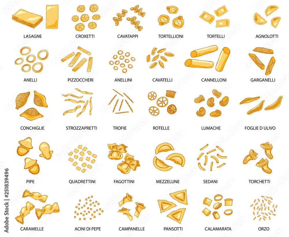 Hand drawn large set of different types of Italian pasta. Vector illustration, colored.