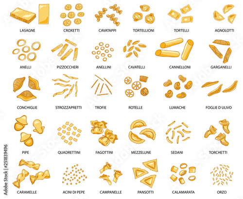 Hand drawn large set of different types of Italian pasta. Vector illustration, colored.