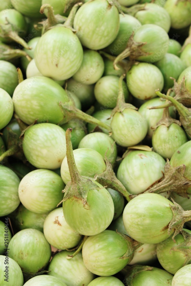 Fresh eggplant green organic at street food Fresh eggplant green organic at street food