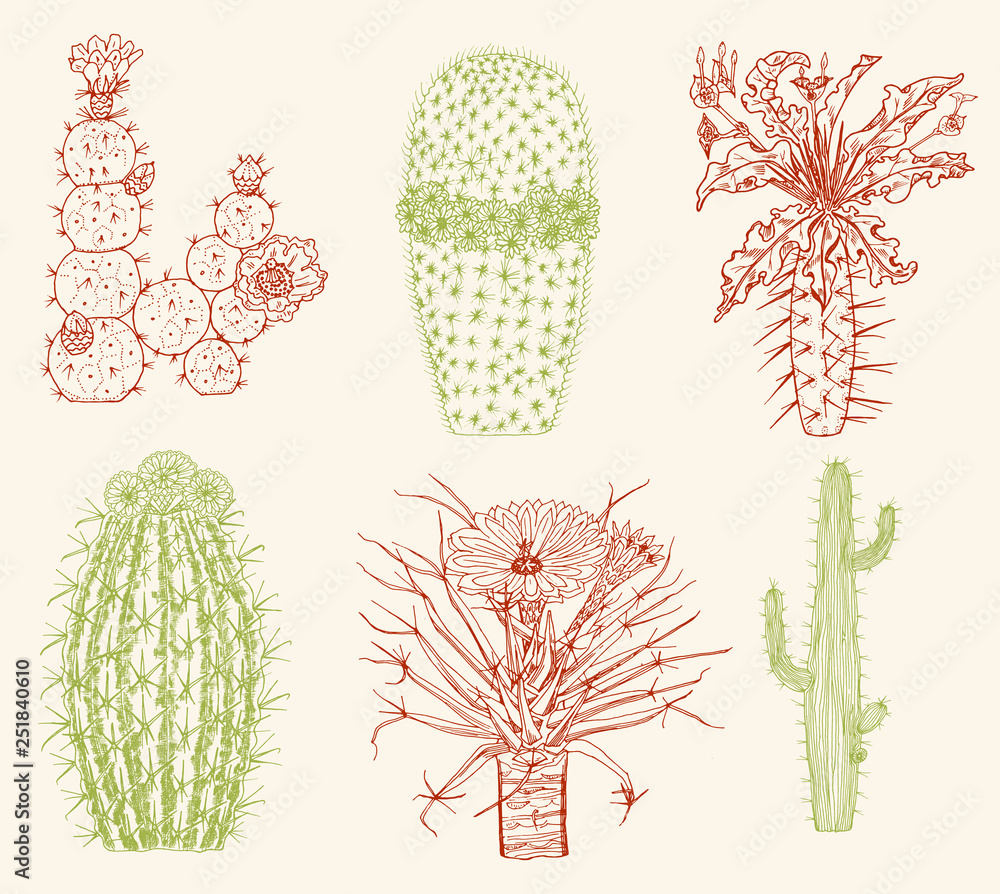 Home cactus plants and flowers. Set of cozy cute elements. Collection of Exotic or tropical succulents with prickles. Engraved hand drawn in old sketch and vintage doodle style. Home cactus plants and flowers. Set of cozy cute elements. Collection of Exotic or tropical succulents with prickles. Engraved hand drawn in old sketch and vintage doodle style.