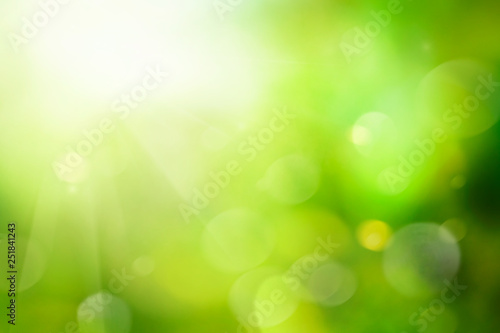 Spring foliage abstract background