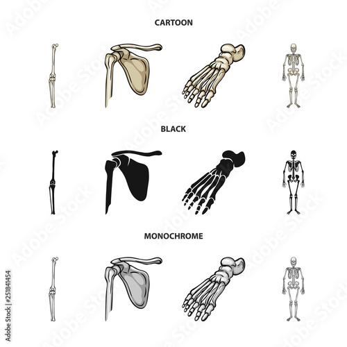 Vector illustration of medicine and clinic sign. Set of medicine and medical vector icon for stock.