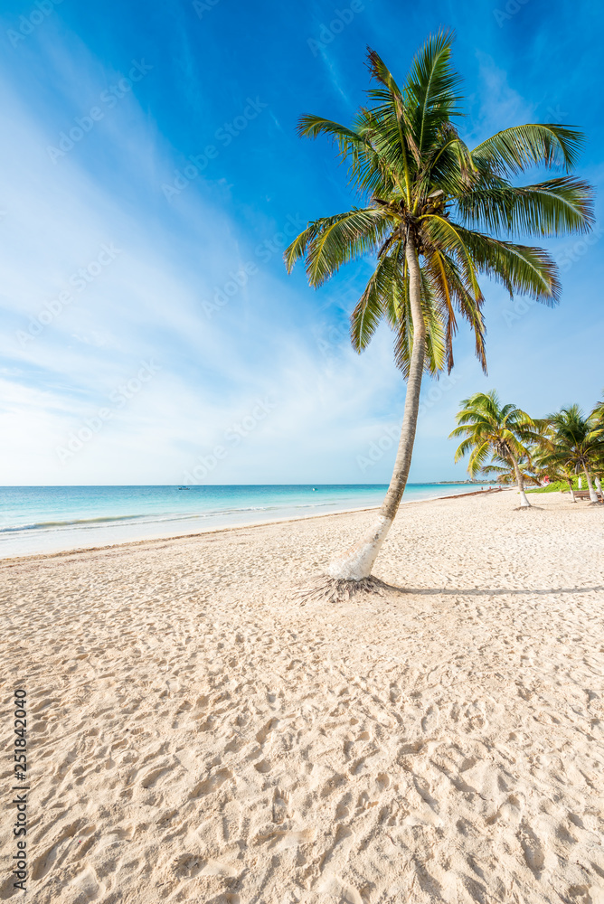 Obraz premium Paradise Beach (also known for Playa Paraiso) at sunny summer day - beautiful and tropical caribbean coast at Tulum in Quintana Roo, Riviera Maya, Cancun, Mexico