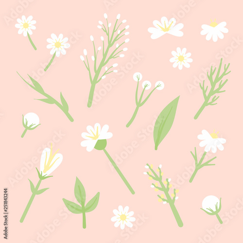 Cute Daisy Flowers Vector